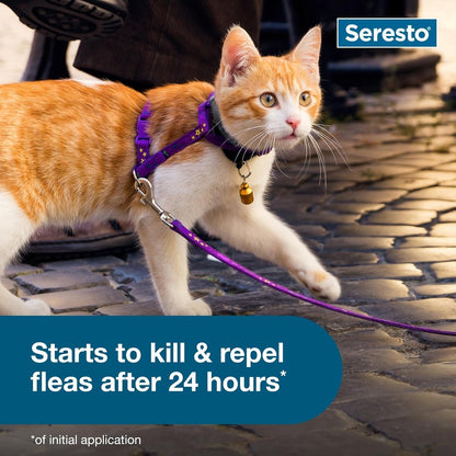 Seresto Cat Vet-Recommended Flea & Tick Treatment & Prevention Collar for Cats | 8 Months Protection